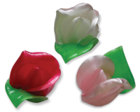 Roses boutons 2